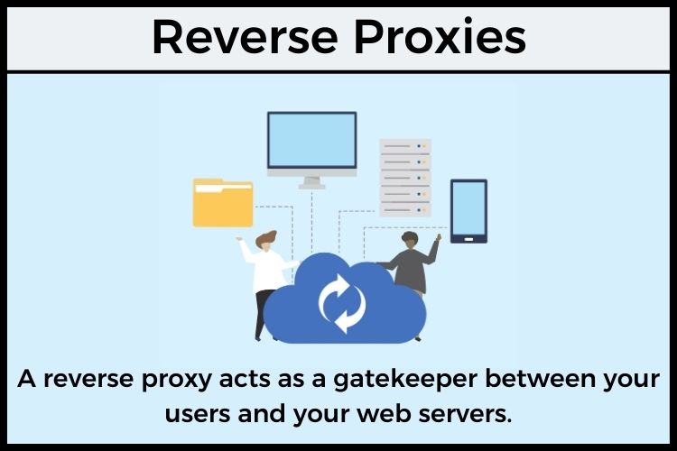 A cheap reverse proxy offers a cost-effective solution to achieve enterprise-level efficiency.