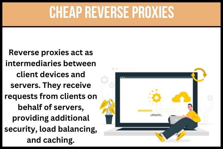 Reverse proxies serve as intermediaries between client devices and servers.