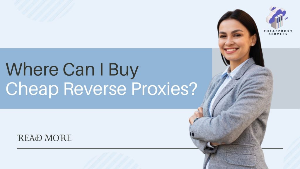 Where Can I Buy Cheap Reverse Proxies?