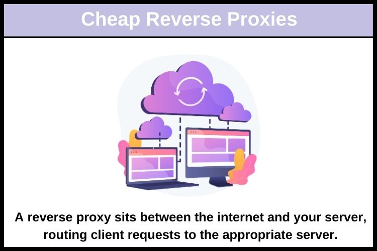 reverse proxy solution that meets your needs without breaking the bank.