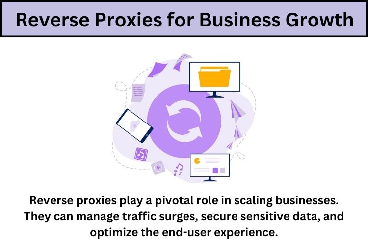 Reliable and cost-effective reverse proxy services.