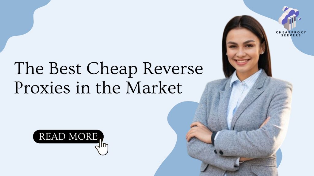 The Best Cheap Reverse Proxies in the Market.