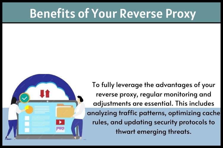the best cheap reverse proxies has become more relevant than ever.