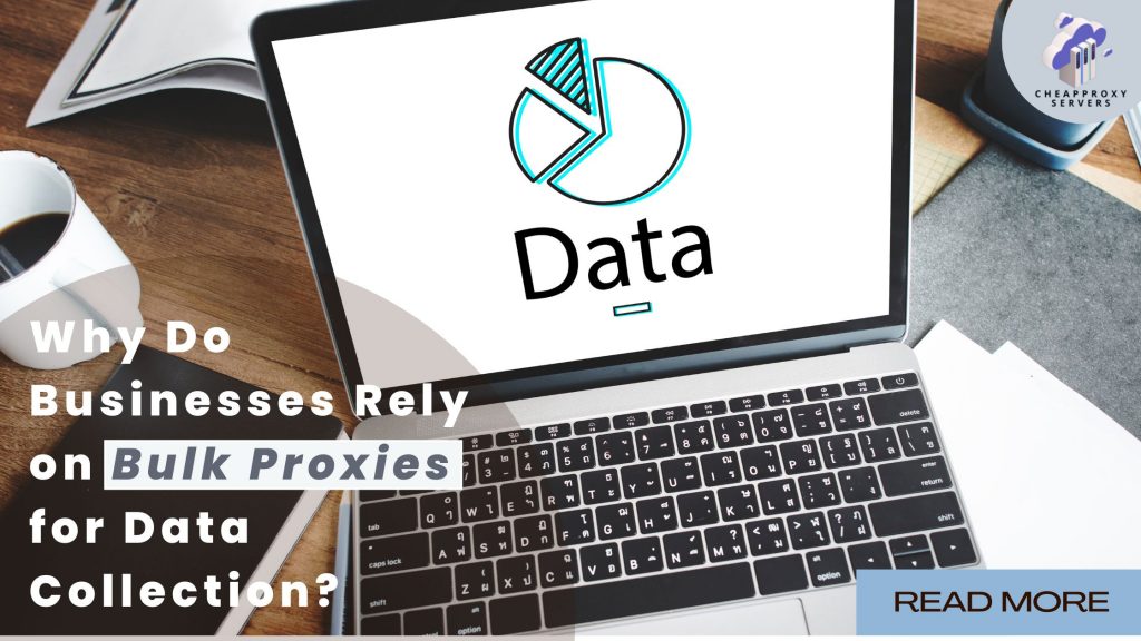 Why Do Businesses Rely on Bulk Proxies for Data Collection?